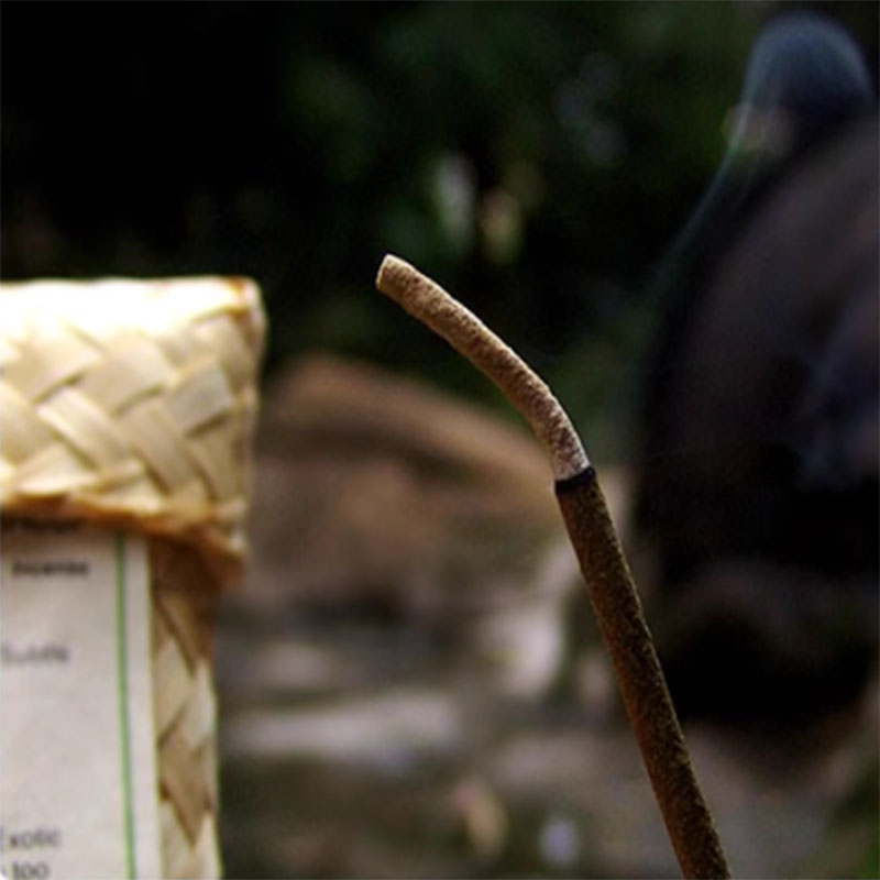 Log Plants Incense Sticks Mult - Home Fragrance Zen 评论和价格