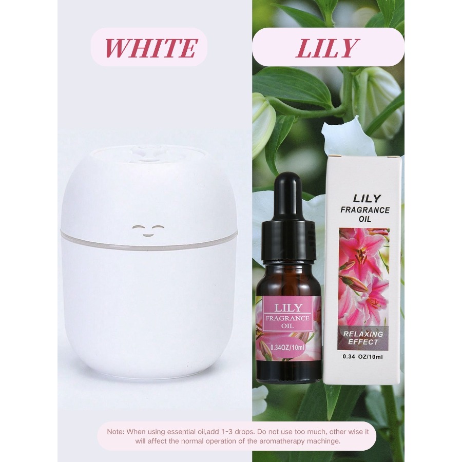 220ML USB Mini Aroma Diffuser  - Home Fragrance System 评论和价格