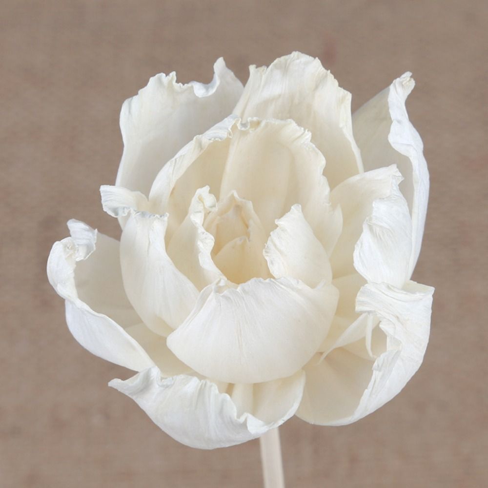 Multipurpose 5cm Natural Handm - Home Fragrance Natural 评论和价格